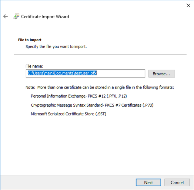 Windows Import Client Certificate