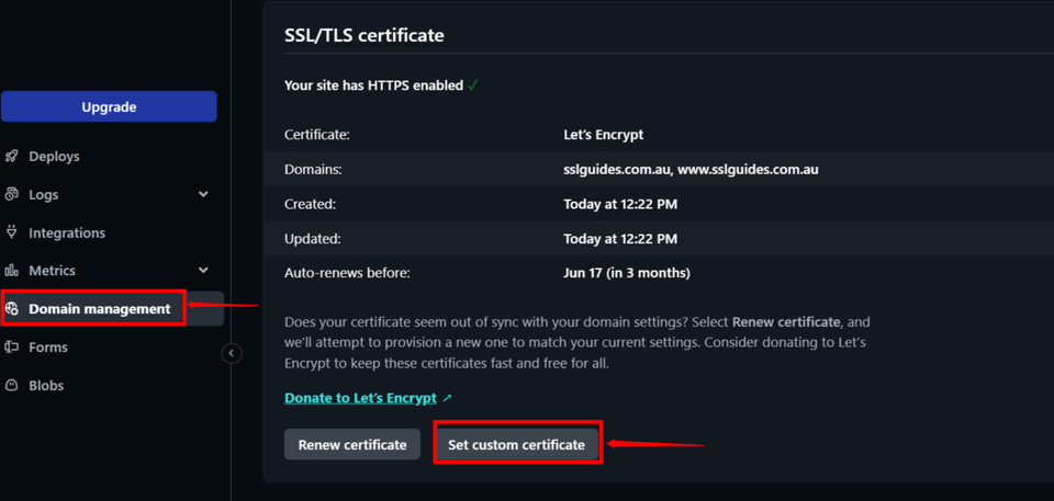 Netlify Custom SSL